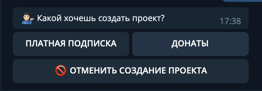 Выбор типа проекта «Донаты»